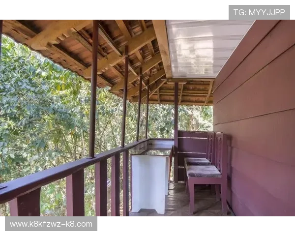 解决agapp版会员注册过程中遇到的常见困扰与技巧