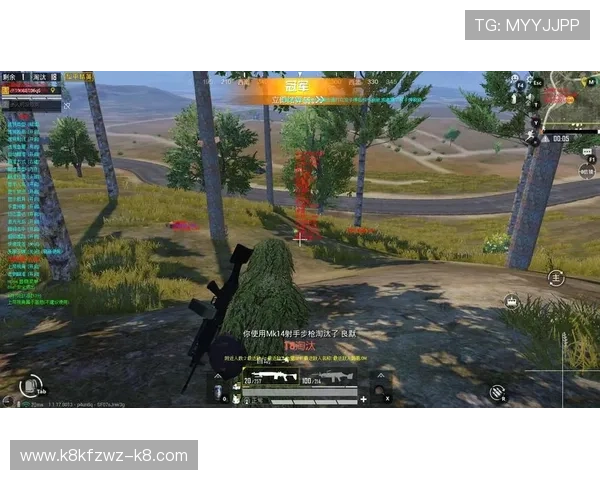 凯发娱乐城丰富的游戏种类介绍，满足不同玩家的多样化需求