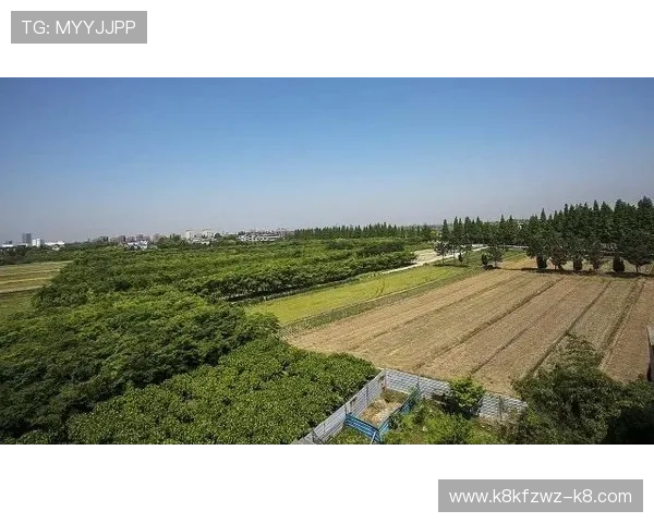 凯发手机客户端下载正式上线,开启全新娱乐体验新时代 凯发手机客户端下载正式上线,开启全新娱乐体验新时代